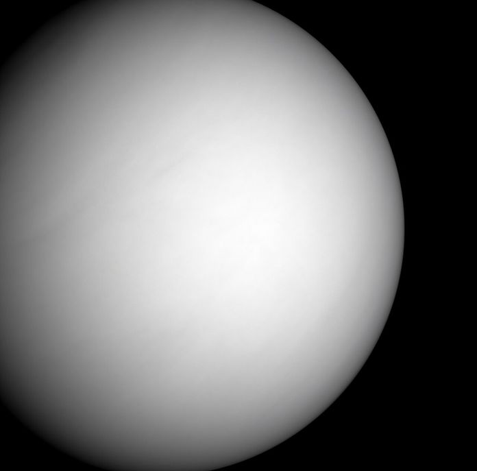 Venus Venus