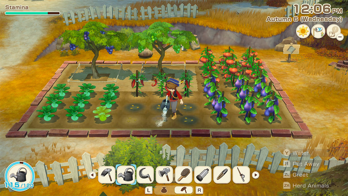Story Of Seasons: Grand Bazaar
