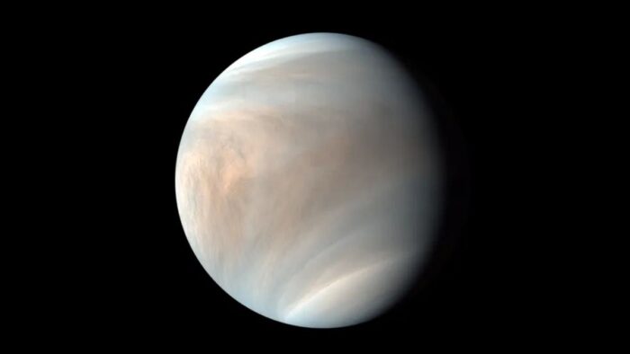 Venus Venus