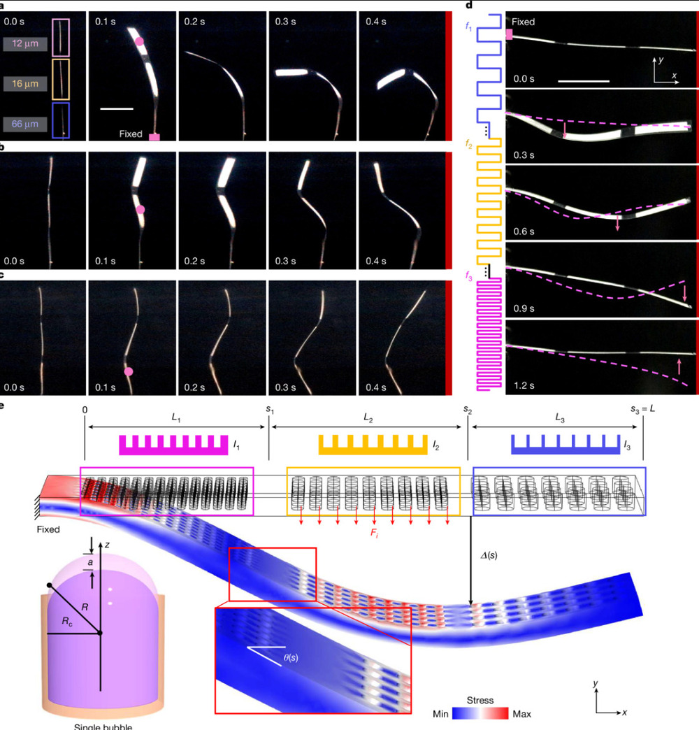 Artificial muscles Artificial muscles