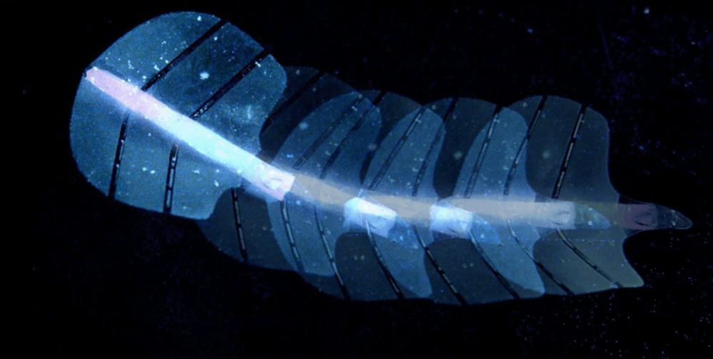 Artificial muscles Artificial muscles