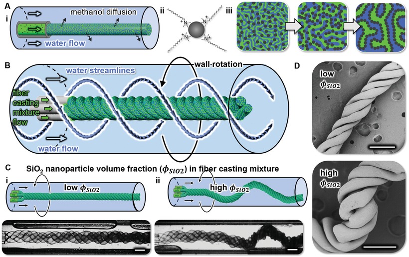 Bijel Integrated PORous Engineered System BIPORES Bijel Integrated PORous Engineered System BIPORES