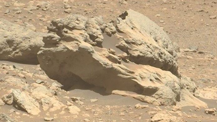 Mars Rock NASA Phippsaksla