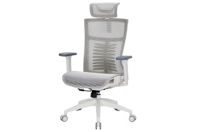 OFFICEPRO-BALANCE-OC550 OFFICEPRO-BALANCE-OC550