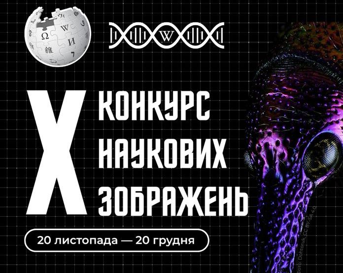 Вікіпедія проводить десятий Конкурс наукових зображень Вікіпедія проводить десятий Конкурс наукових зображень