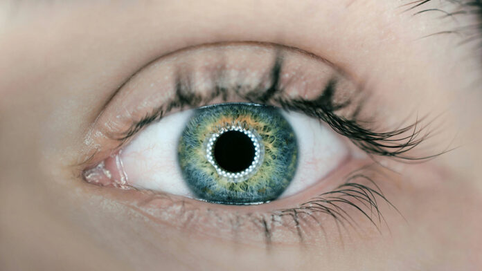 3D-printed cornea