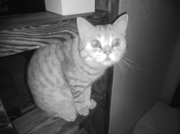 Blackview XPLORE 1 - Night Vision Camera Test