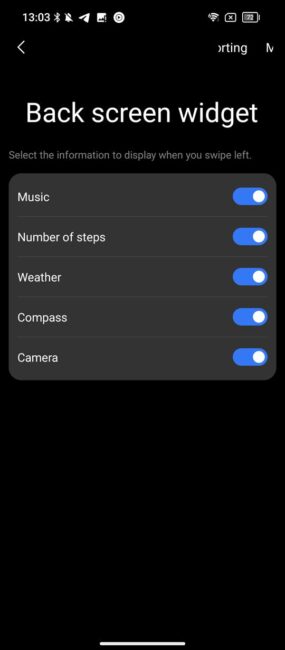 Blackview XPLORE 1 - Back Screen Setting