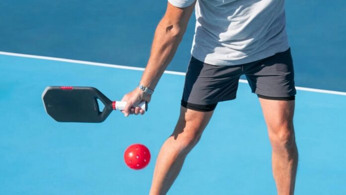 Tesla Plaid Pickleball Paddle
