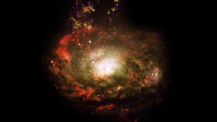 Circinus galaxy Circinus galaxy