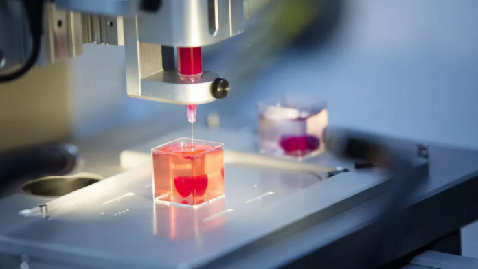 FRESH 3D bioprinted perfusable liver