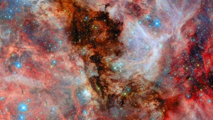 Large Magellanic Cloud