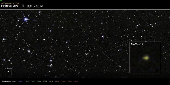 COSMOS Field MoM-z14 Galaxy