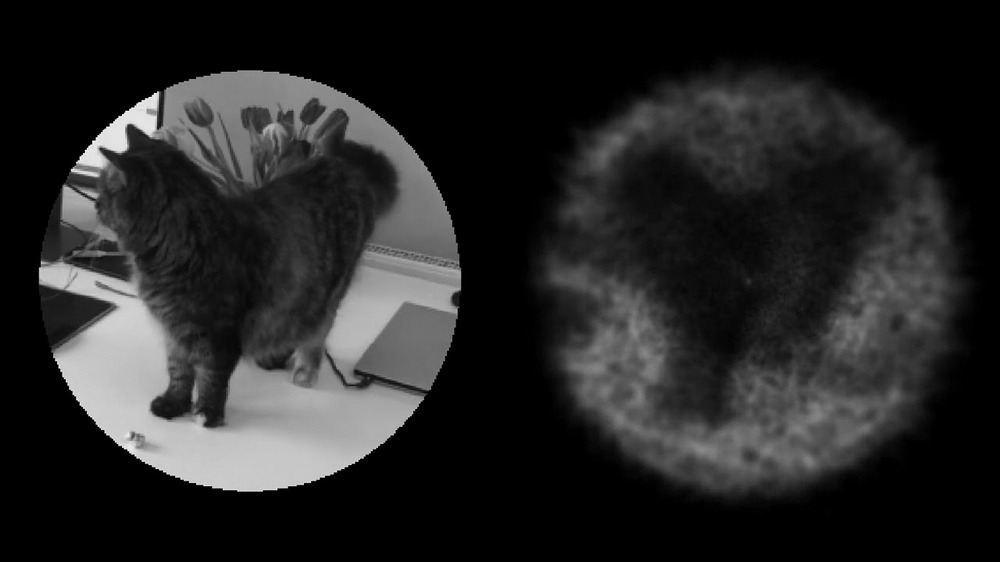 Neuralink Blindsight
