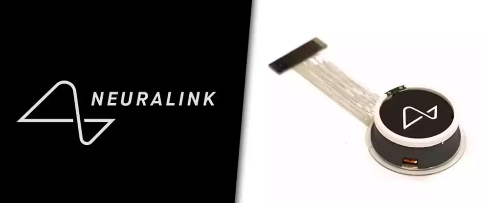 Neuralink Blindsight