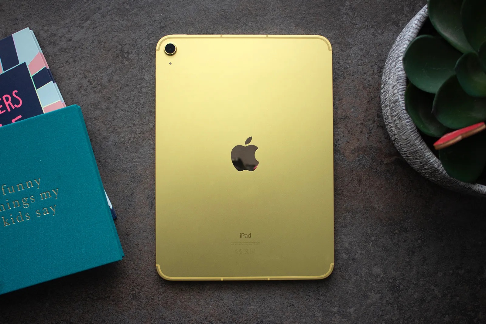 Apple iPad