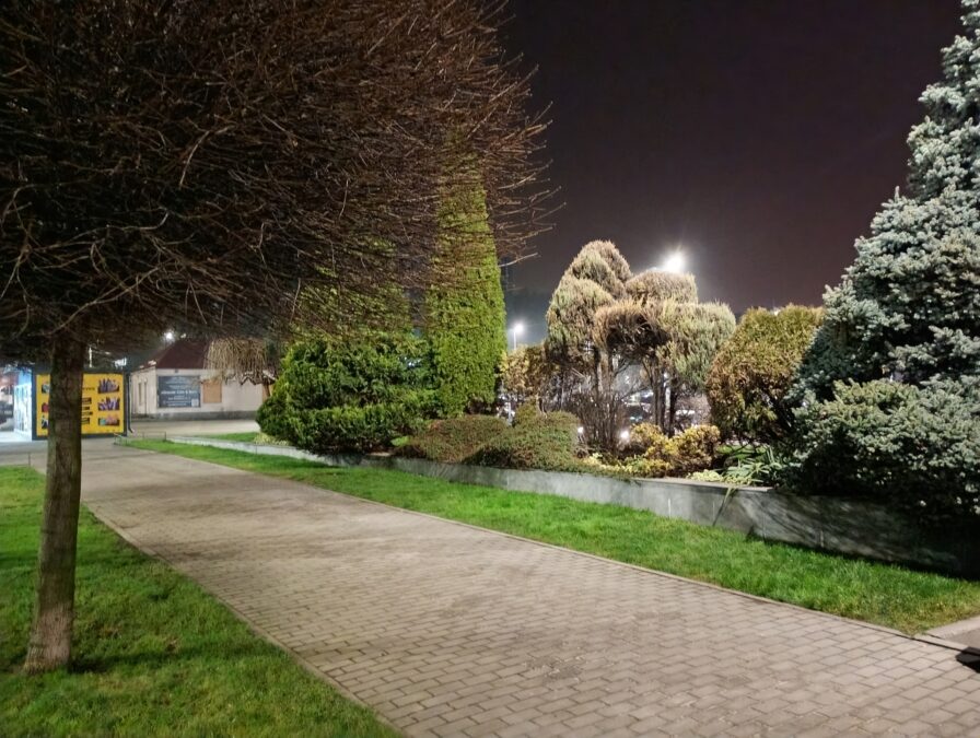 Moto G06 Powerful night photos