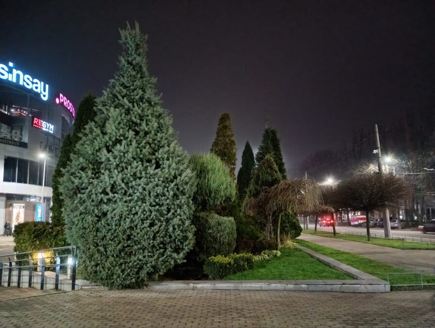 Moto G06 Powerful night photos