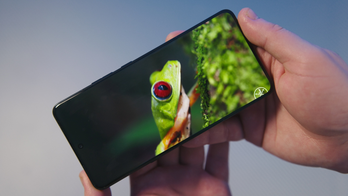 Motorola Signature Motorola Signature