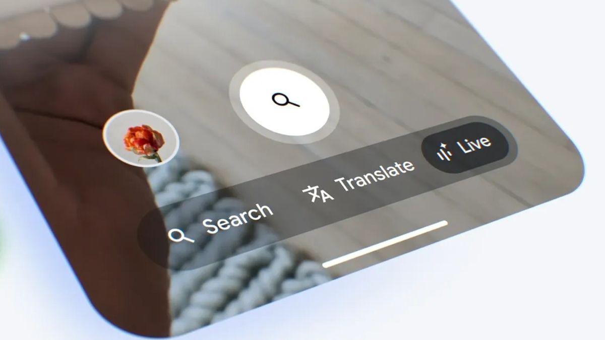 Search Console
