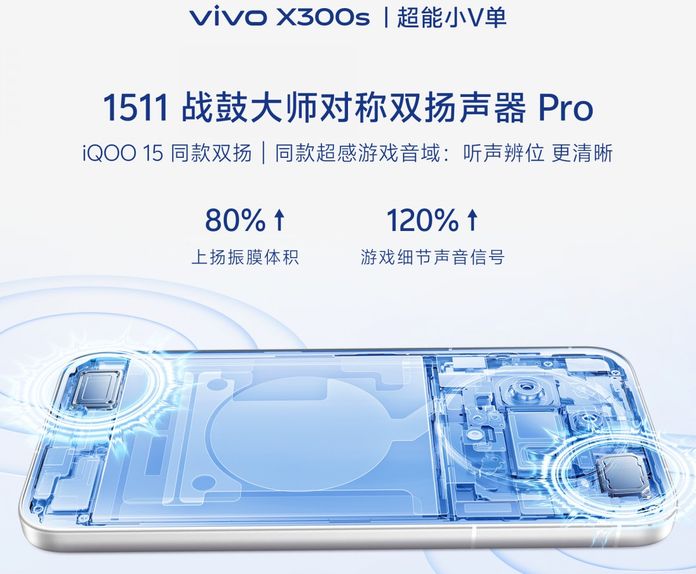 vivo X300s vivo X300s
