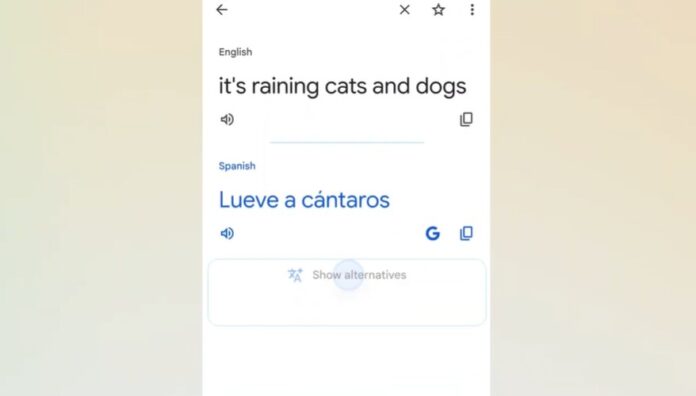 Google Translate Google Translate