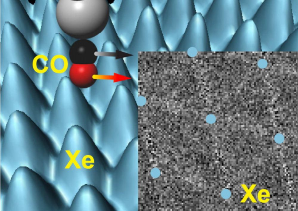 Van der Waals force Quantum networks