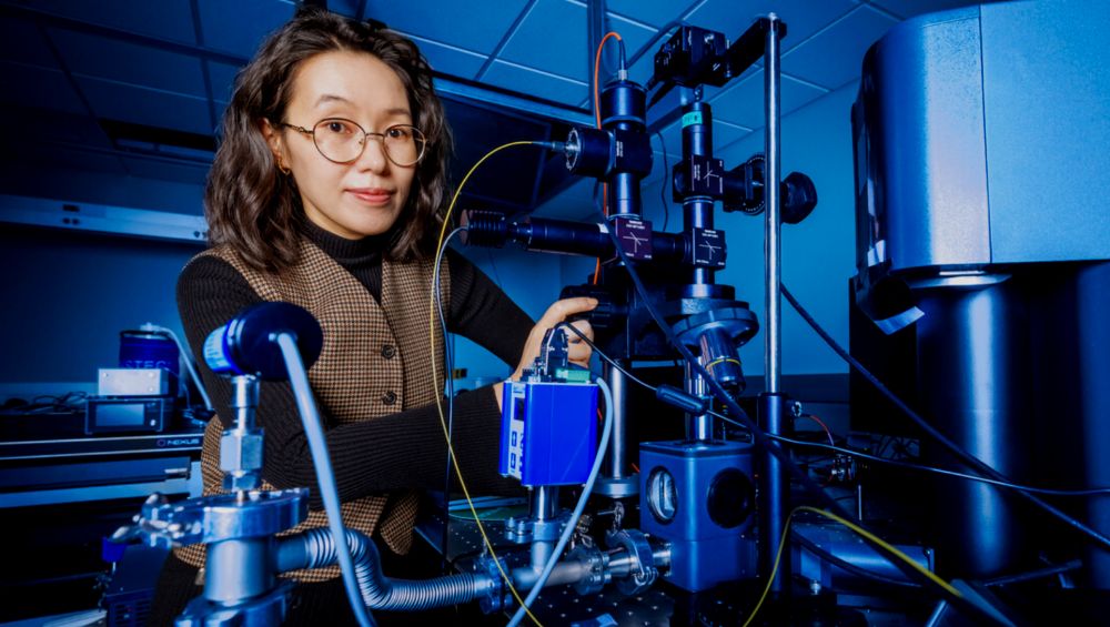 Yanan (Laura) Wang Quantum networks