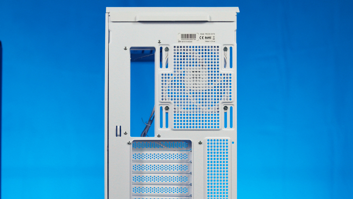 Zalman P50 DS
