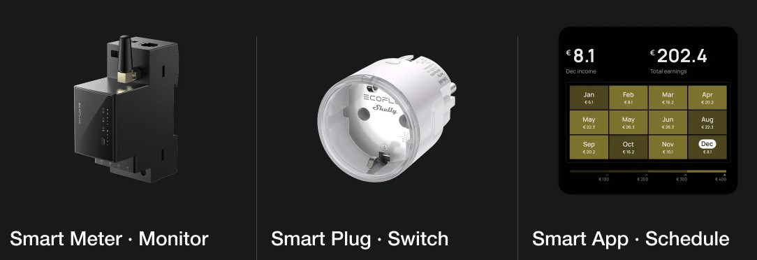 EcoFlow Smart Meter & Smart Plug EcoFlow Smart Meter & Smart Plug