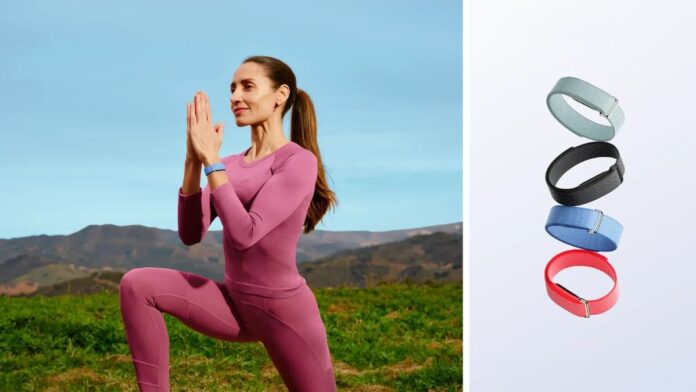 Google Fitbit Air Google Fitbit Air