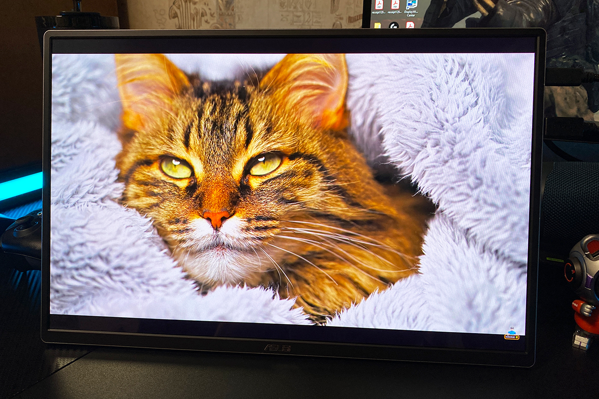 ASUS ZenScreen OLED MQ16FC