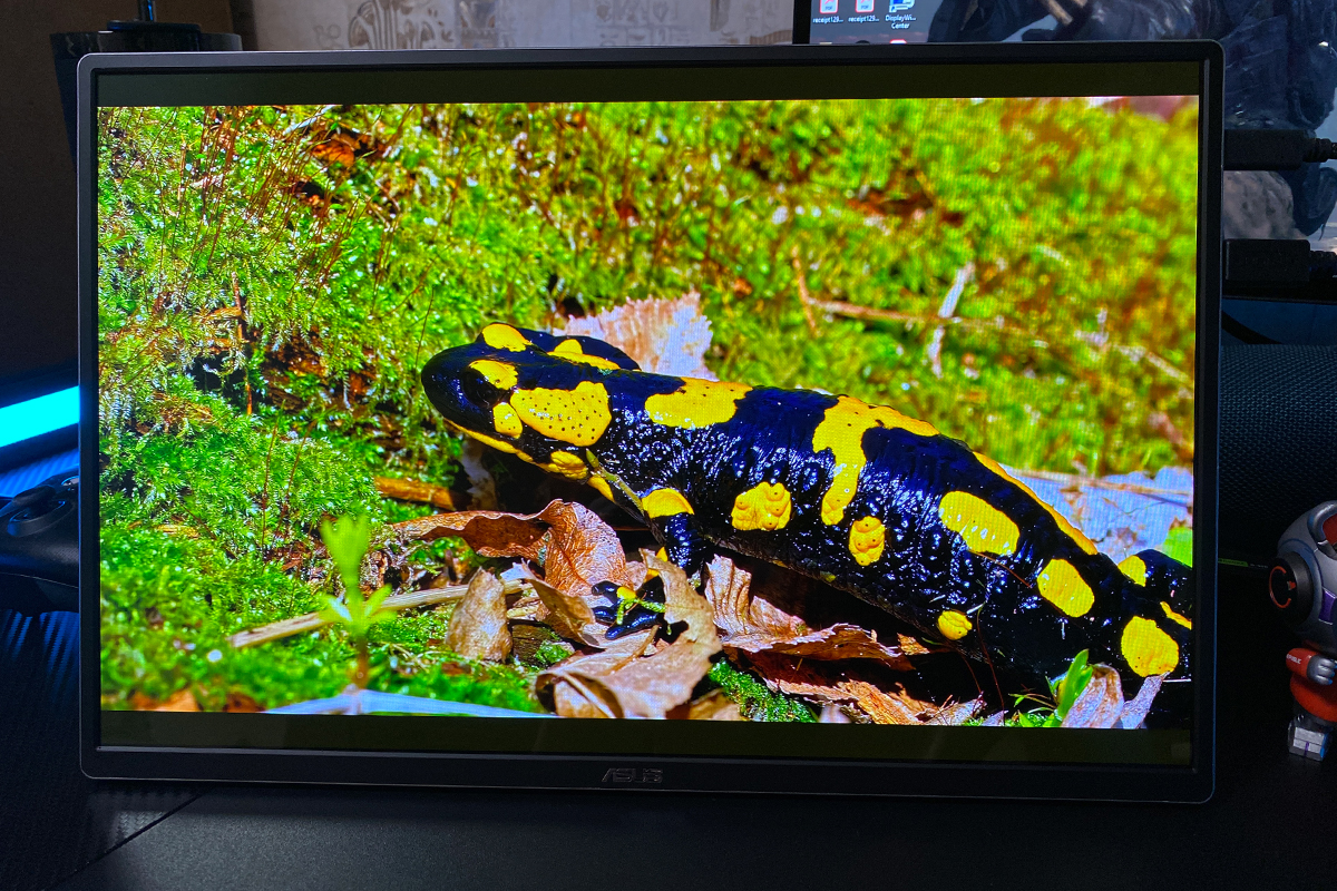 ASUS ZenScreen OLED MQ16FC