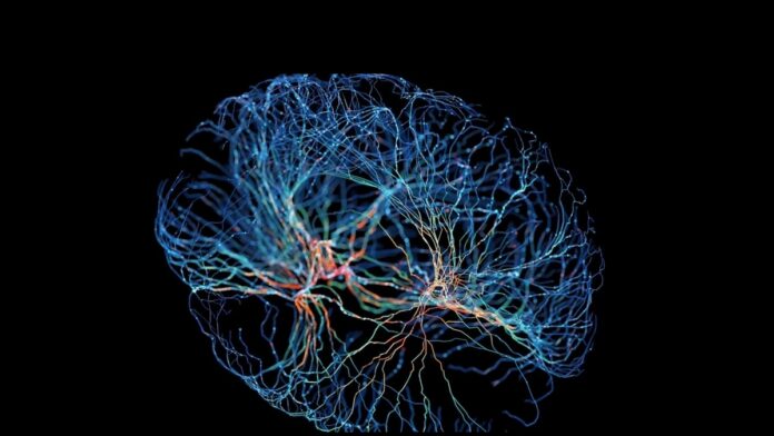 Commercial Brain-Computer Interface