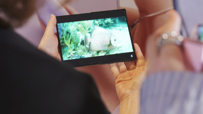 Samsung Galaxy Fold8 Samsung Galaxy Fold8