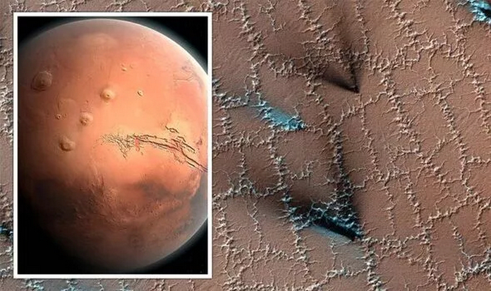 Космічна загадка: Ровер NASA натрапив на дивні багатокутні структури на Марсі Космічна загадка: Ровер NASA натрапив на дивні багатокутні структури на Марсі