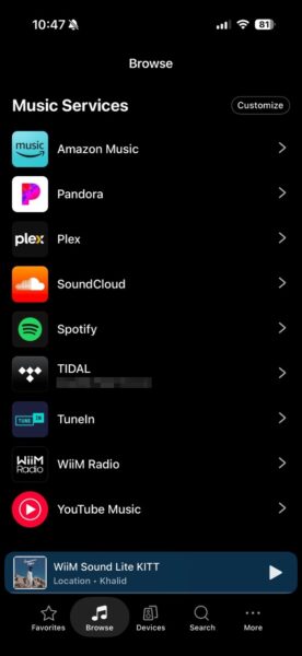 WiiM Home app Browse tab showing supported music streaming services including Spotify, TIDAL, Amazon Music, YouTube Music, Plex, SoundCloud, TuneIn, Pandora, and WiiM Radio.