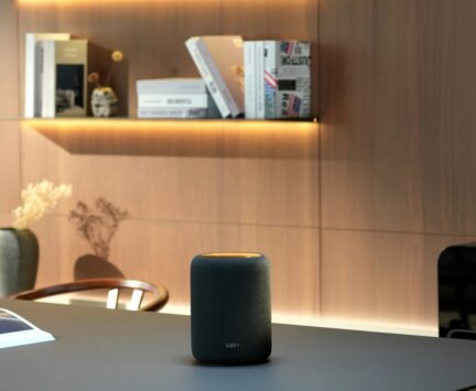 Black WiiM Sound Lite speaker in a contemporary living room setting.