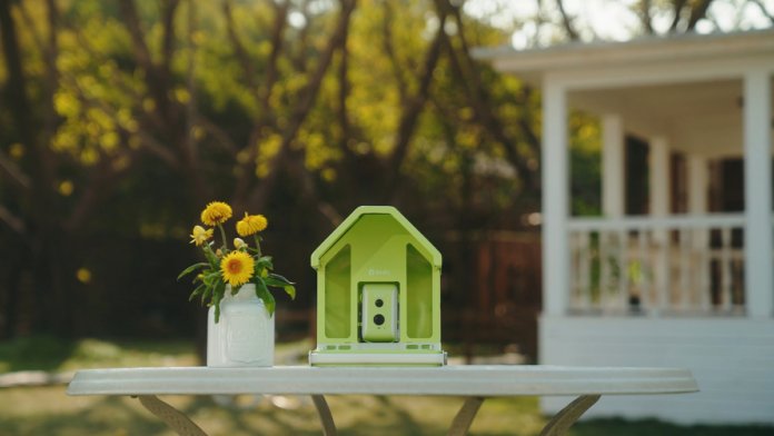 Birdfy Feeder