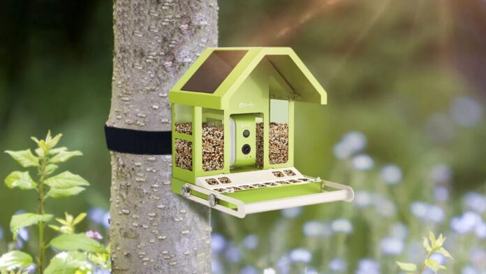 Birdfy Feeder