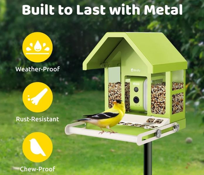 Birdfy Feeder