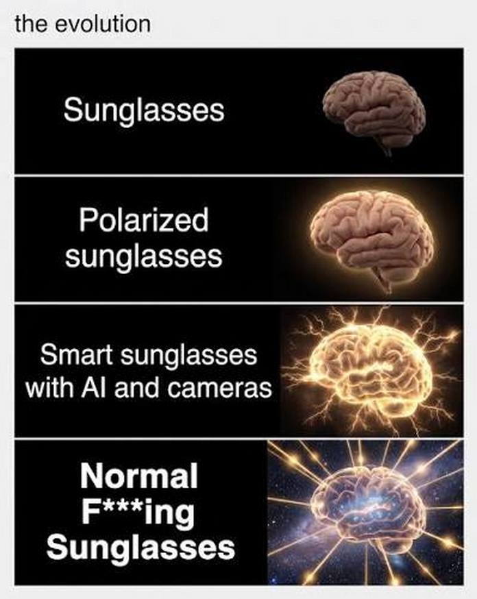 DuckDuckGo Normal Fing Sunglasses DuckDuckGo Normal Fing Sunglasses