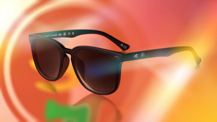 DuckDuckGo-Normal Fing Sunglasses DuckDuckGo-Normal Fing Sunglasses
