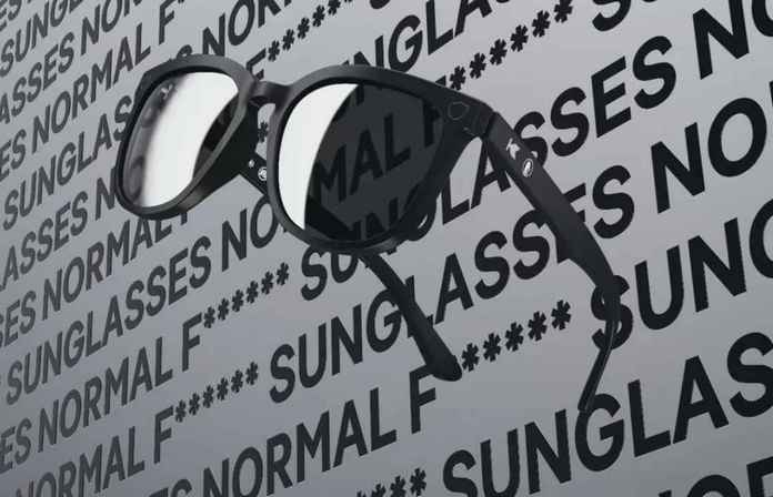 DuckDuckGo Normal Fing Sunglasses DuckDuckGo Normal Fing Sunglasses