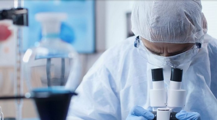 Living Tissue from a Test Tube: British Scientists Are Growing Human Replicas for Drug Testing