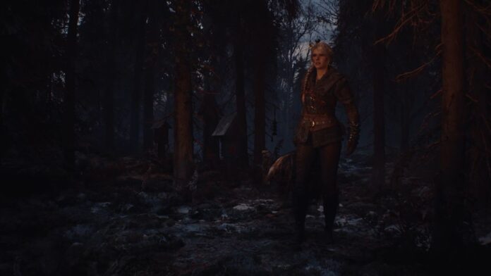The Witcher