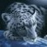 Ivan