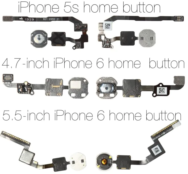 home-button-apple-iphone-6_01