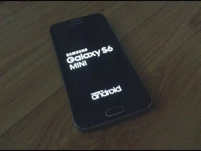 Samsung_Galaxy_S6_Mini_02