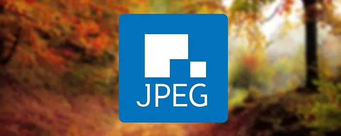 Новый формат JPEG XL будет весить в два раза меньше, но ему готовы противостоять аналоги от Google и Apple